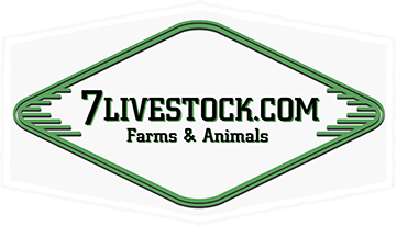 7Livestock.com Farms and Animals