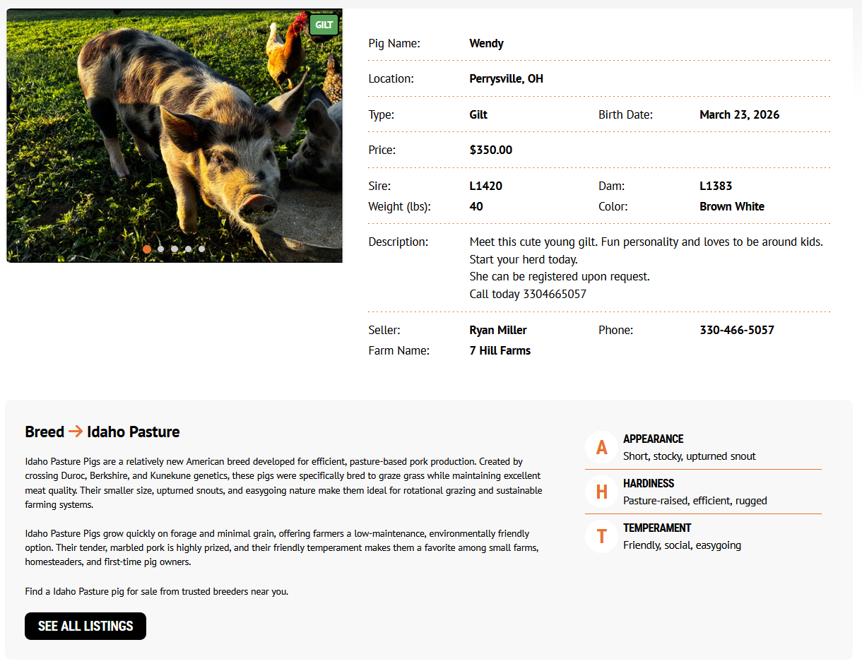Individual 7Livestock pig listing with photos, animal data, seller information, and breed details
